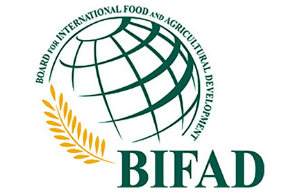 Board for International Food and Agricultural Development (BIFAD) - logo