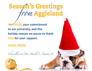 North Carolina A&T State University and Chancellor Harold L. Martin Sr. wish you and your family a happy, healthy and safe holiday.