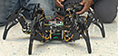 FIRST Tech Challenge (FTC) Aggieland Championship at N.C. A&T