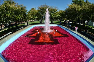 “Pink” fountain behind the Memorial Student Union