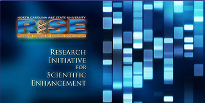 RISE logo