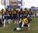 The North Carolina A&T football team