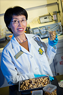Dr. Jianmei Yu