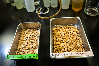 Hypoallergenic peanuts