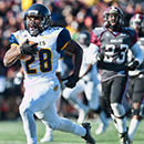 Tarik Cohen #28