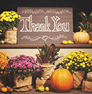 images/iStock-ThankYou 29761486X