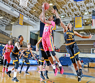 North Carolina A&T women’s basketball team, Lady Aggies