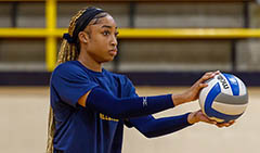 Volleyball